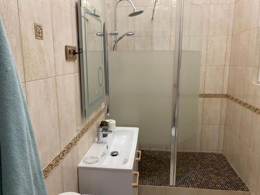 Art Nouveau Apartment Ultracentral Oradea Bagian luar foto